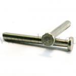 Chiodi in acciaio inox senza punta (1kg) L : 25 mm - Ø 2.9 mm